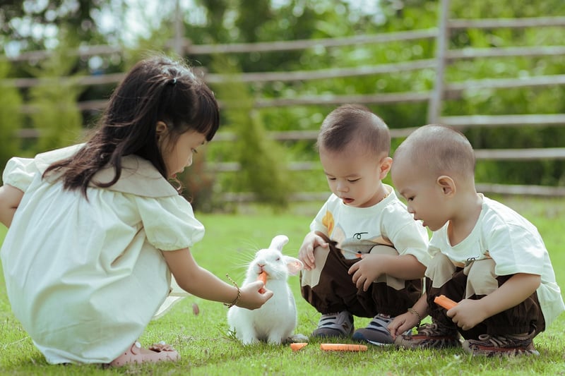 Family Picnic